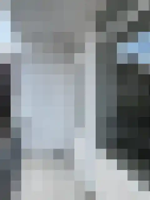 Pretorialaan 64 Rotterdam thumbnail 5