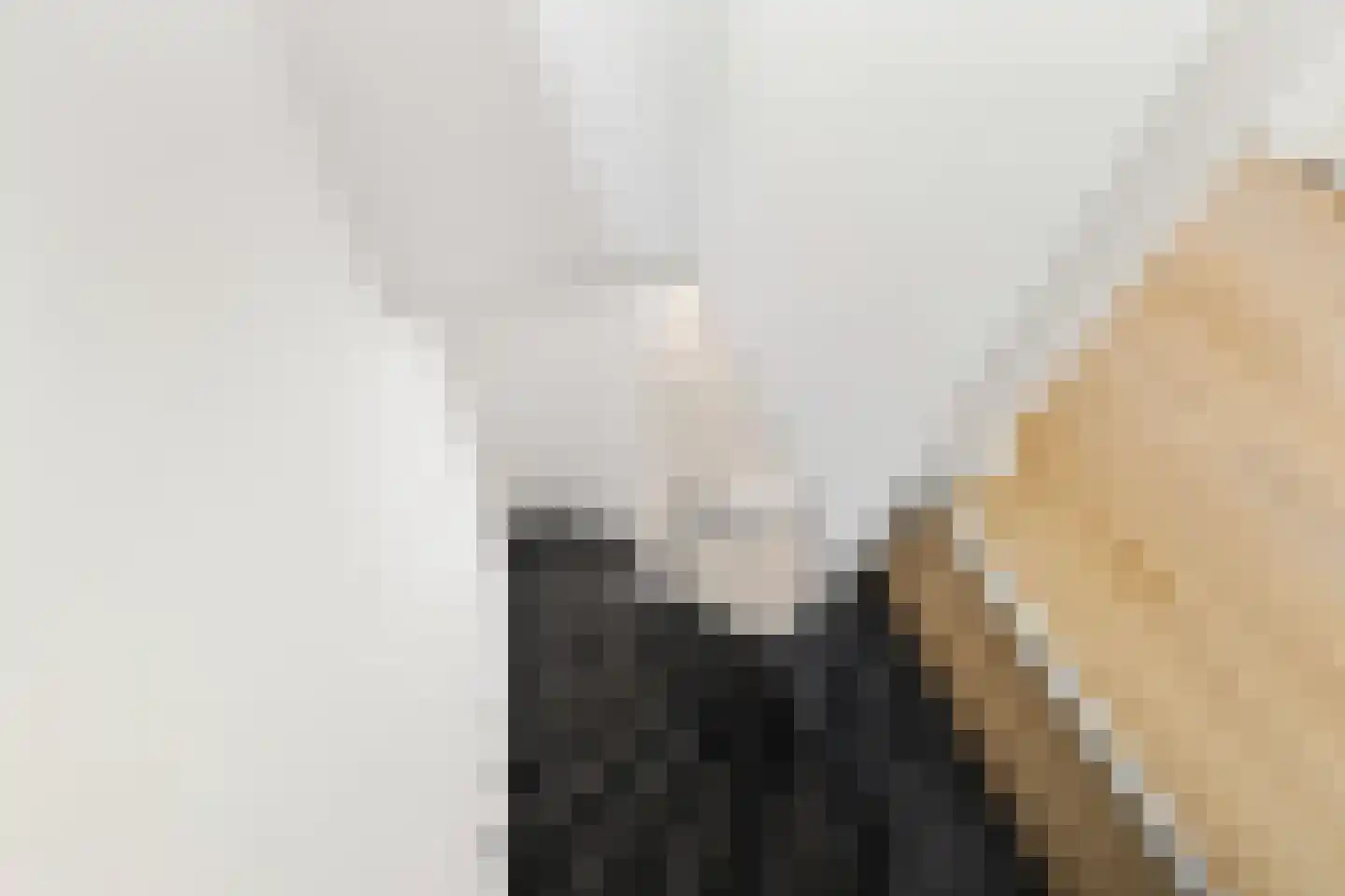 Pretorialaan 99 A Rotterdam thumbnail 10
