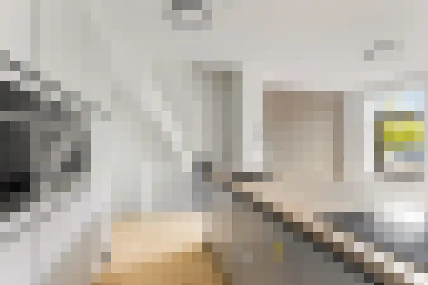 Pretorialaan 99 A Rotterdam thumbnail 11