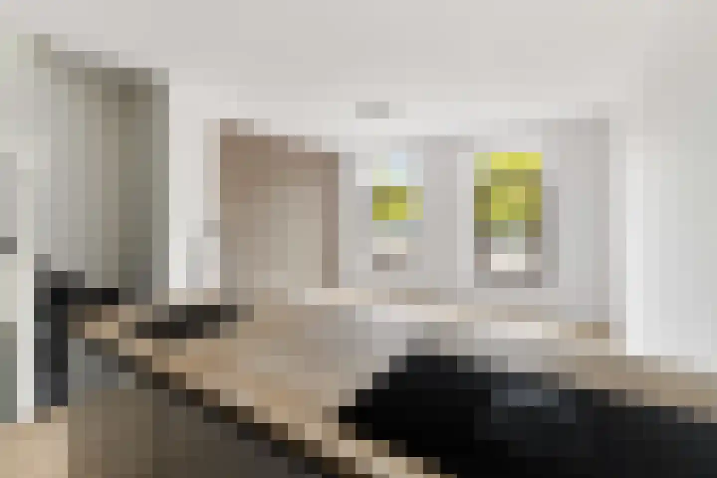 Pretorialaan 99 A Rotterdam thumbnail 16