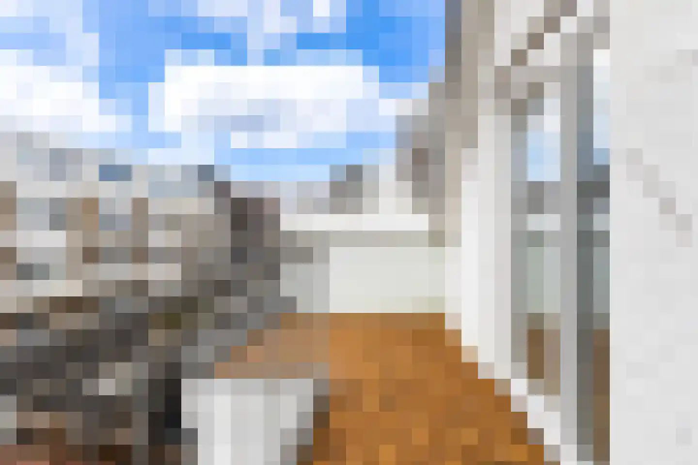 Pretorialaan 99 A Rotterdam thumbnail 29