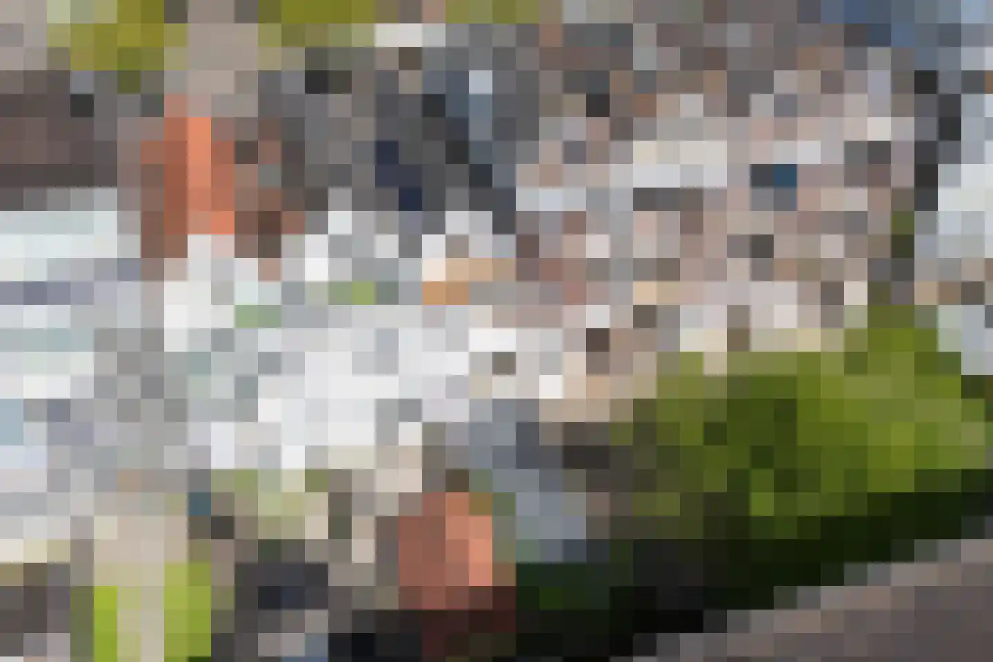 Pretorialaan 99 A Rotterdam thumbnail 33
