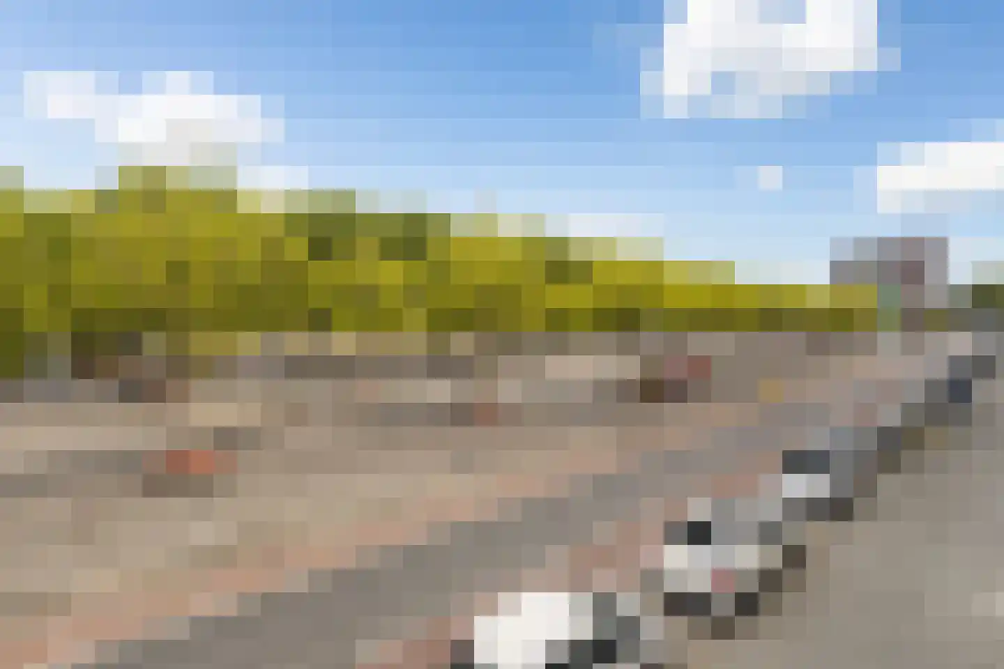 Pretorialaan 99 A Rotterdam thumbnail 37