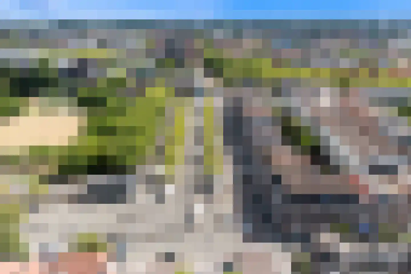 Pretorialaan 99 A Rotterdam thumbnail 38