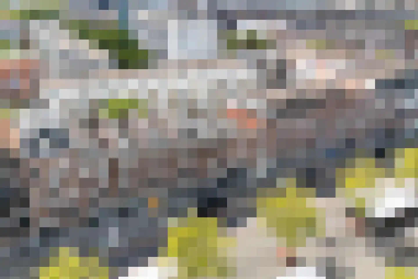 Pretorialaan 99 A Rotterdam thumbnail 40