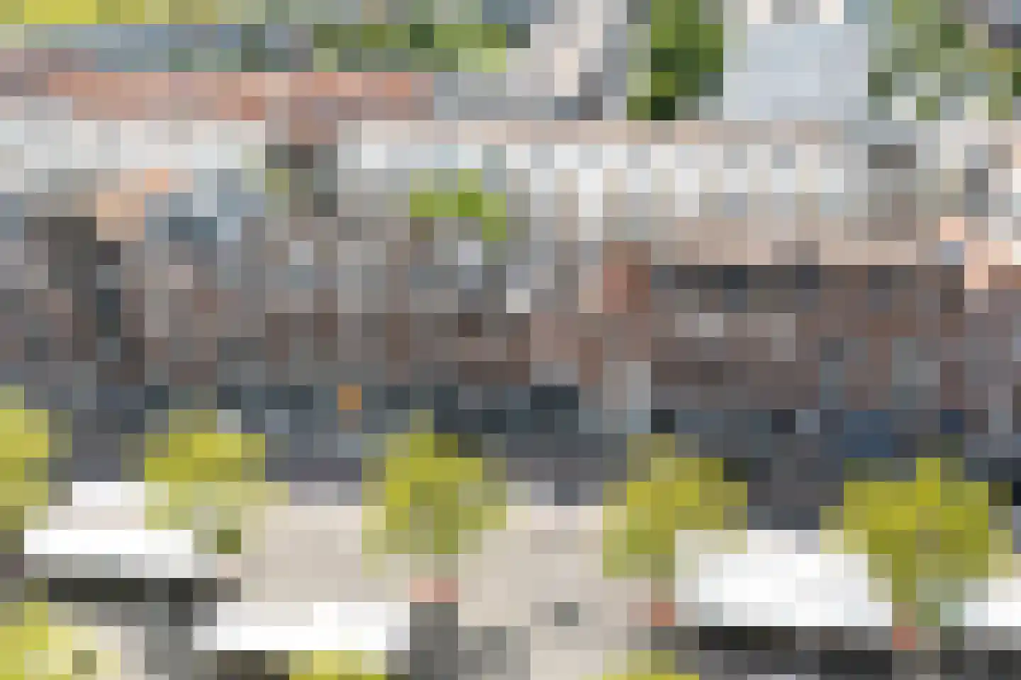 Pretorialaan 99 A Rotterdam thumbnail 41
