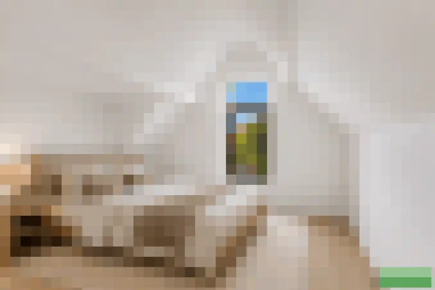 Pretorialaan 99 A Rotterdam thumbnail 6