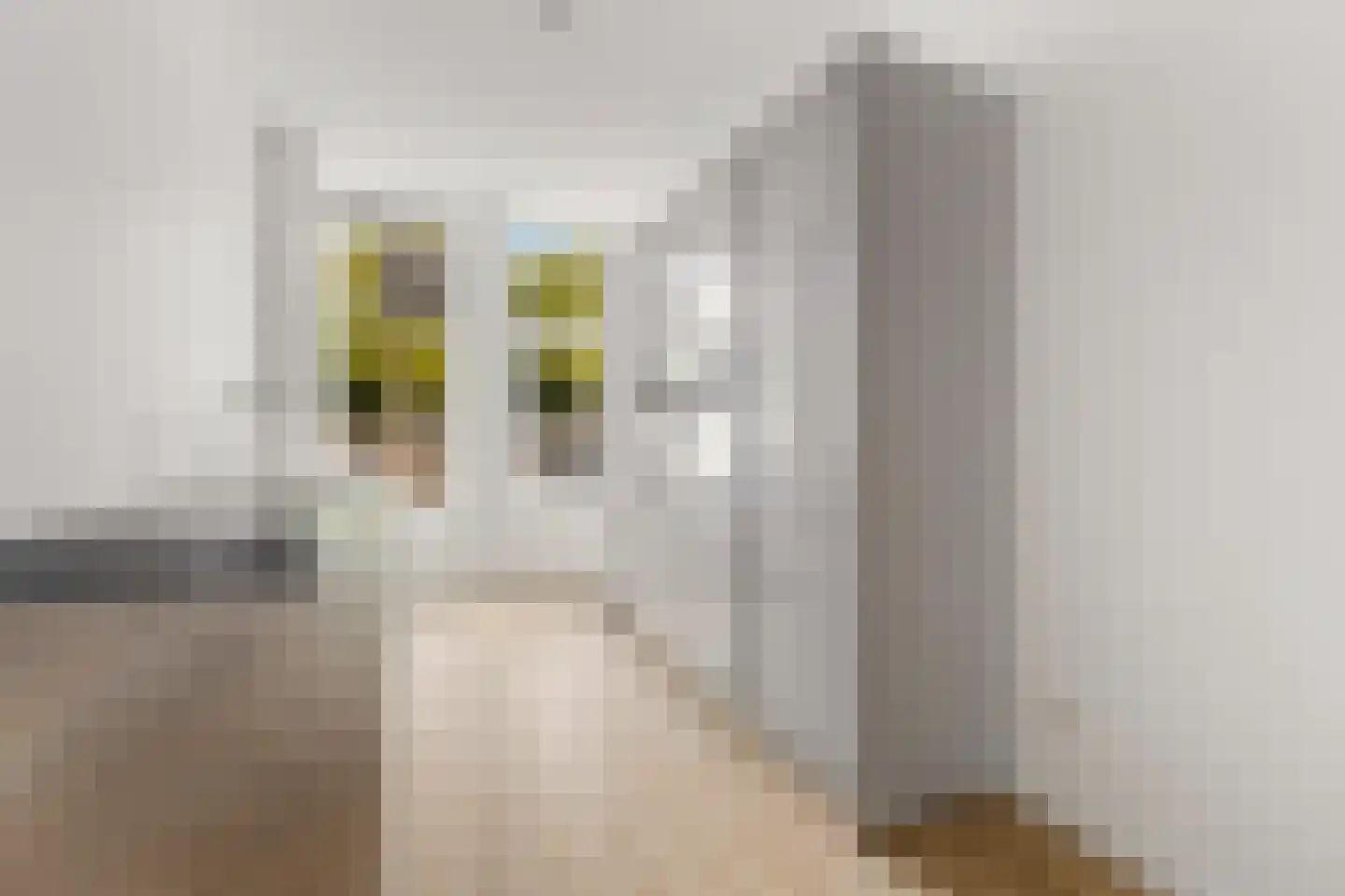 Pretorialaan 99 B Rotterdam thumbnail 19