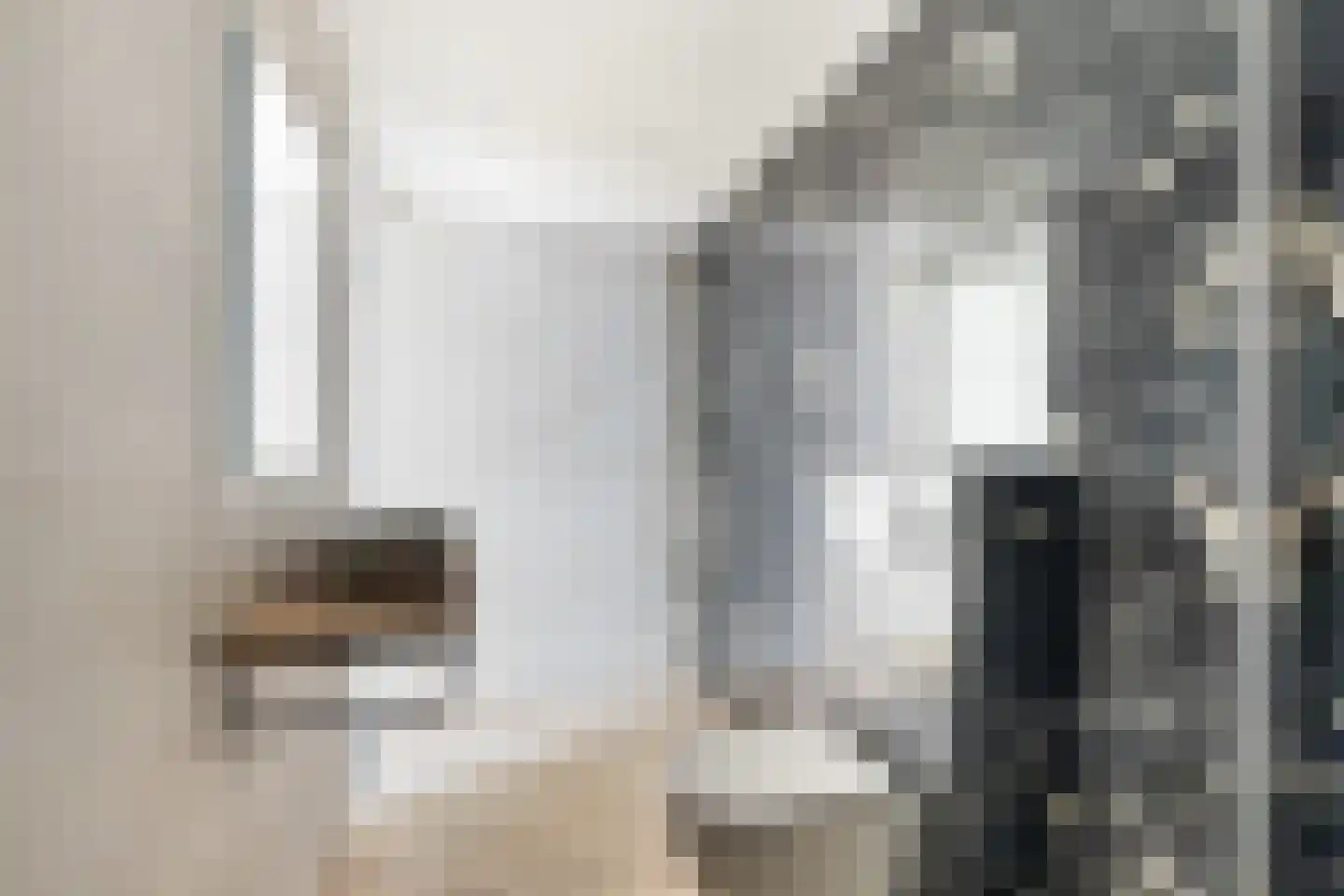 Pretorialaan 99 B Rotterdam thumbnail 27