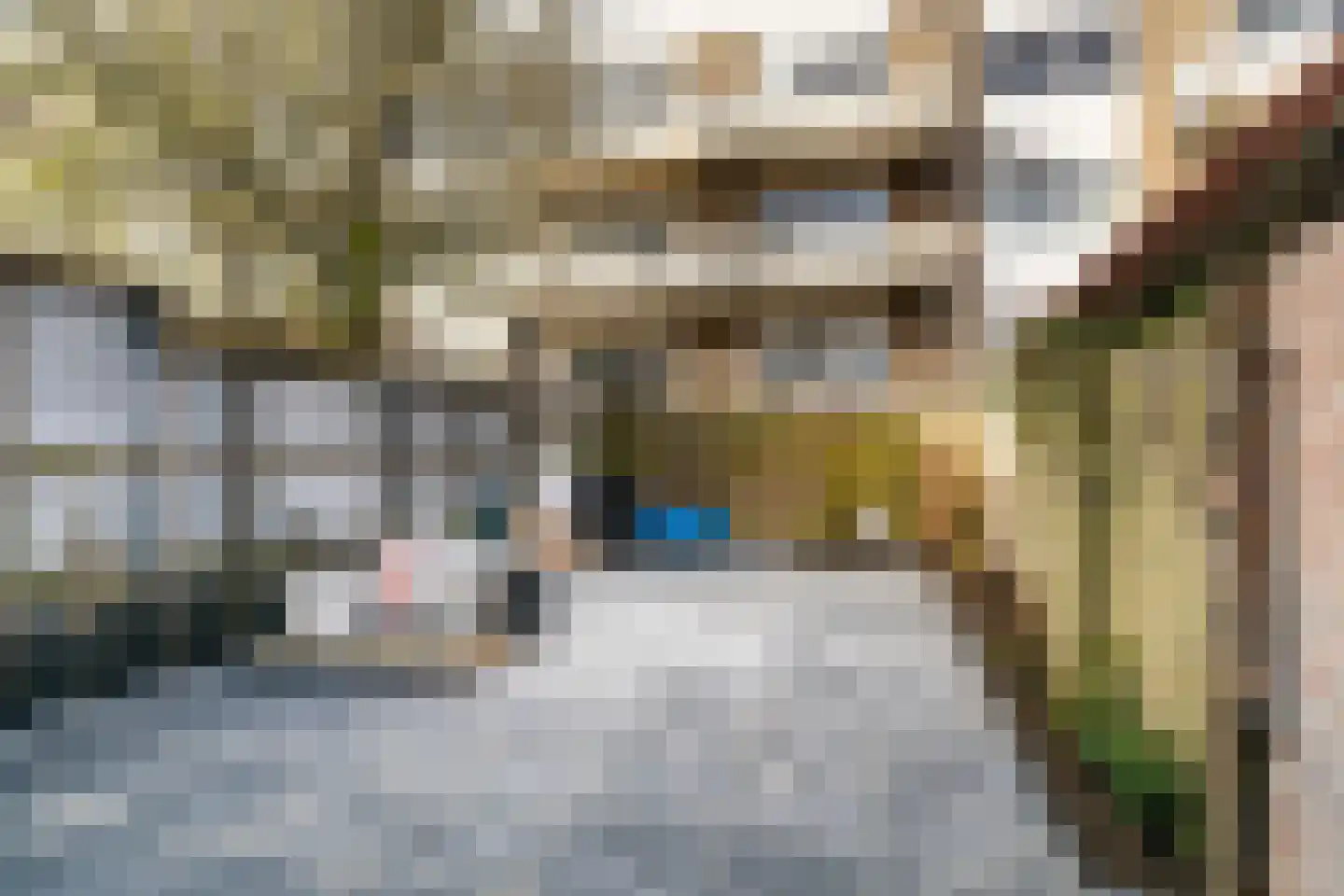 Pretorialaan 99 B Rotterdam thumbnail 31