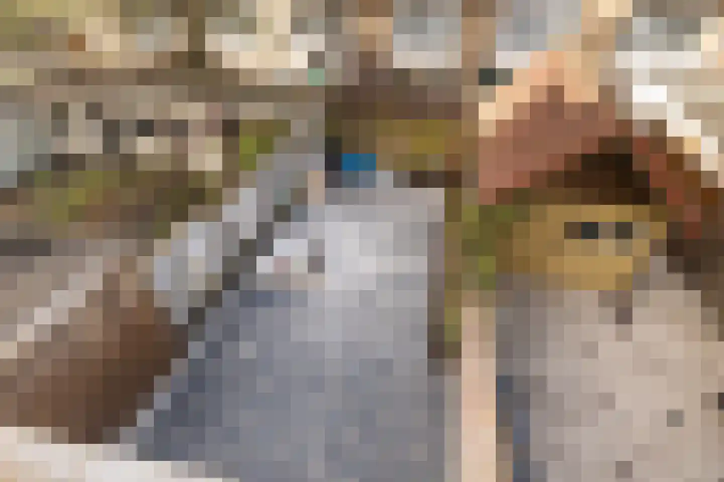Pretorialaan 99 B Rotterdam thumbnail 32