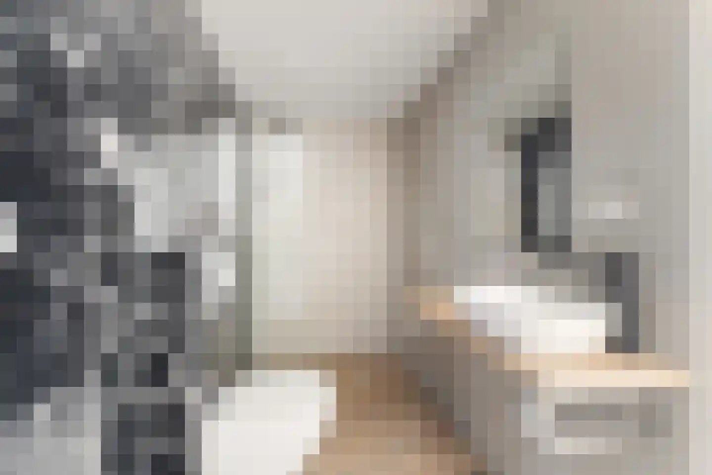 Pretorialaan 99 B Rotterdam thumbnail 35