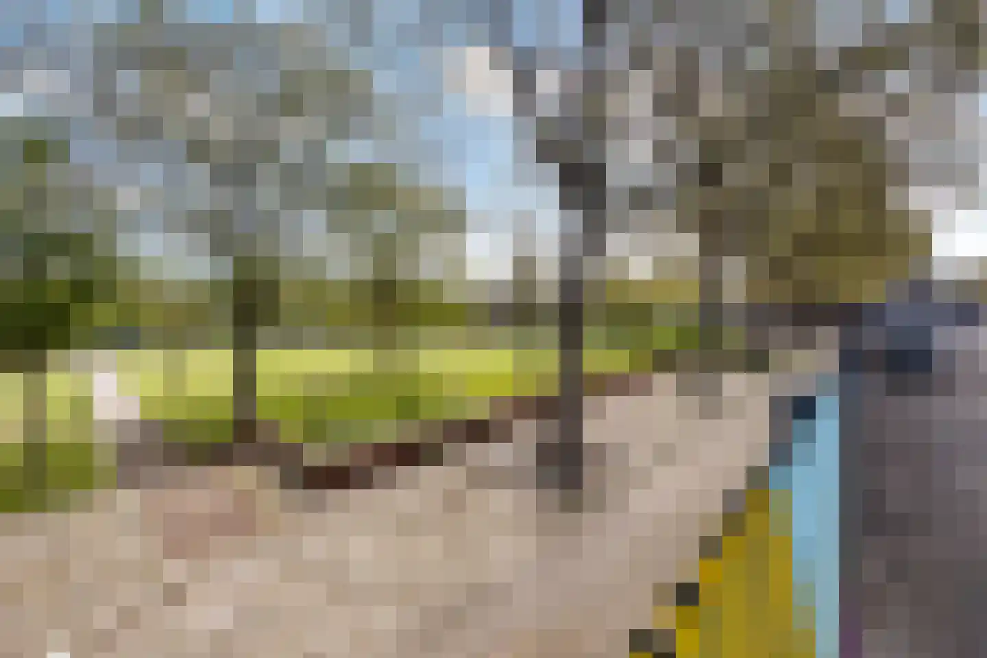 Pretorialaan 99 B Rotterdam thumbnail 36