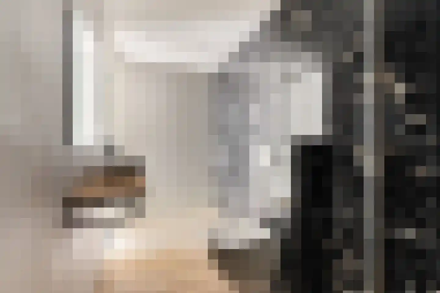 Pretorialaan 99 B Rotterdam thumbnail 36