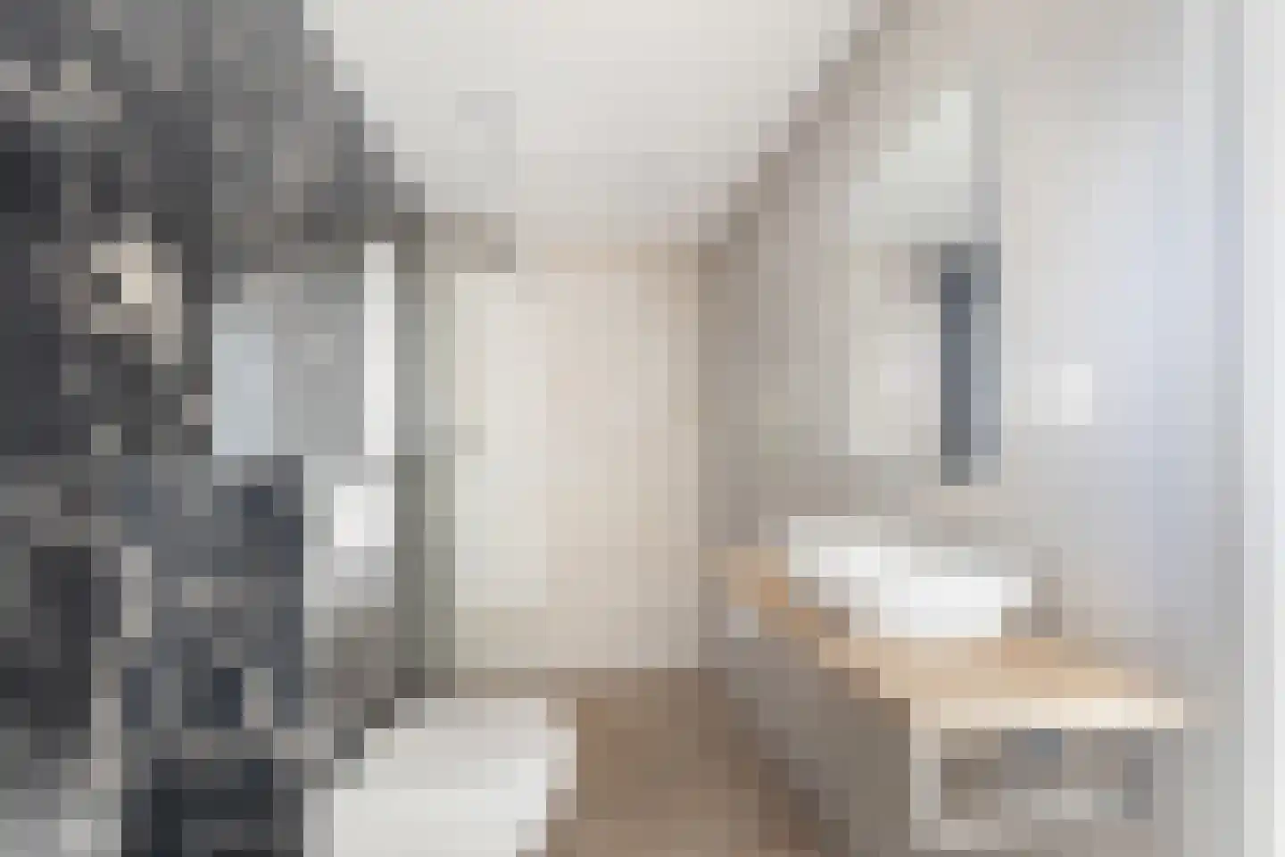 Pretorialaan 99 B Rotterdam thumbnail 4