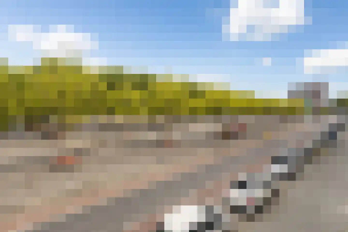 Pretorialaan 99 B Rotterdam thumbnail 45