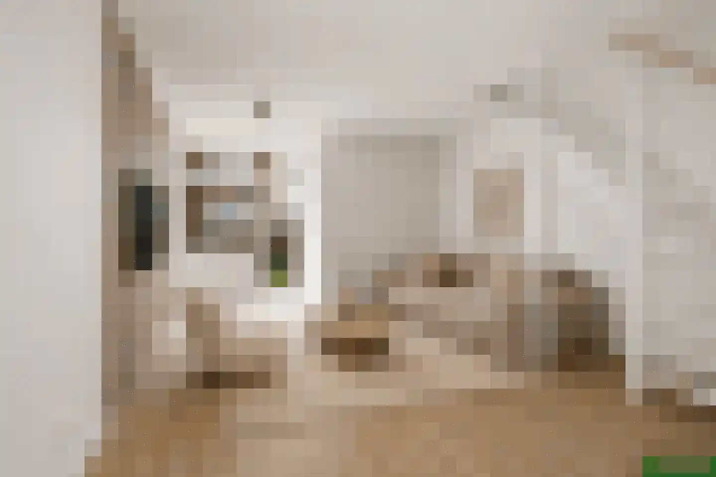 Pretorialaan 99 B Rotterdam thumbnail 5