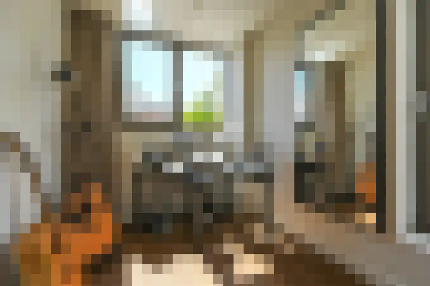 Pretoriaplein 2 Haarlem thumbnail 16