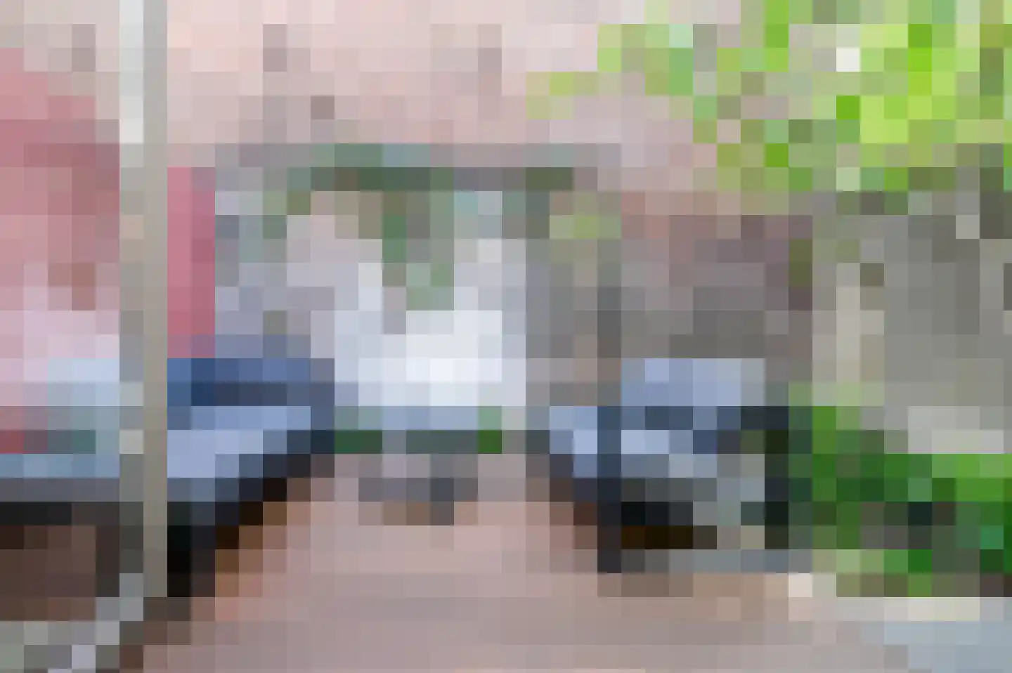 Pretoriaplein 2 Haarlem thumbnail 24