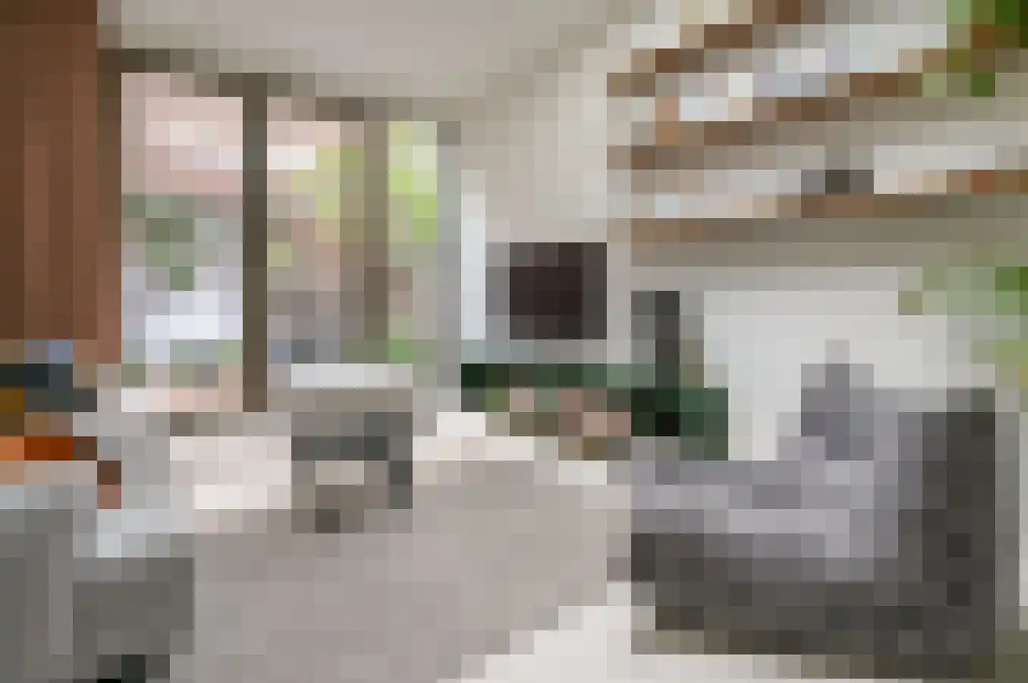 Pretoriaplein 2 Haarlem thumbnail 6