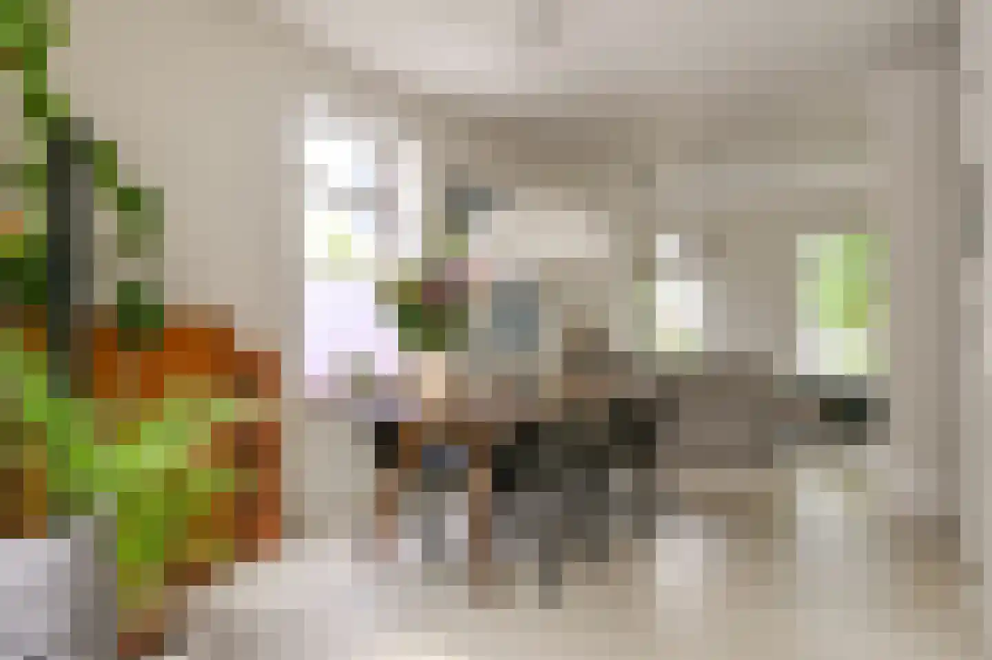 Pretoriaplein 2 Haarlem thumbnail 9
