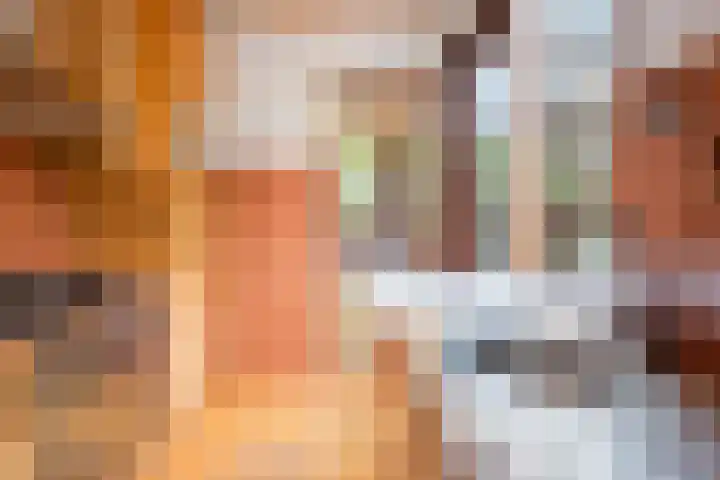 Pretoriaplein 6 Haarlem thumbnail 11