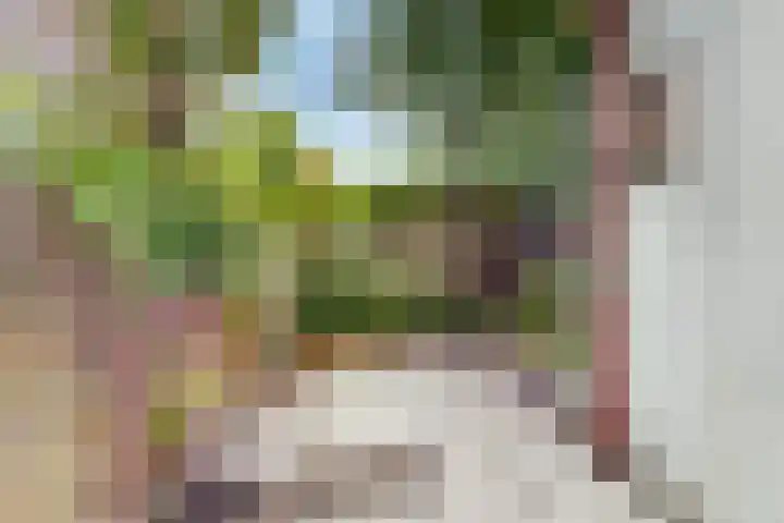 Pretoriaplein 6 Haarlem thumbnail 12