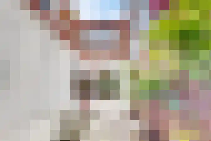 Pretoriaplein 6 Haarlem thumbnail 13