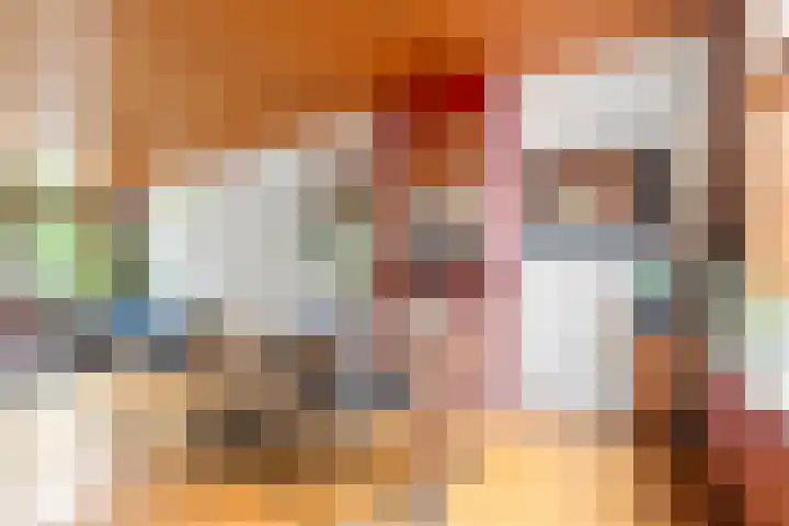 Pretoriaplein 6 Haarlem thumbnail 14