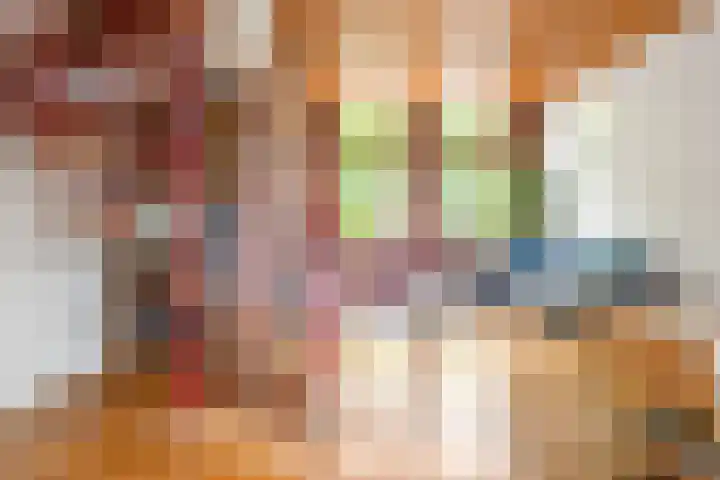 Pretoriaplein 6 Haarlem thumbnail 15