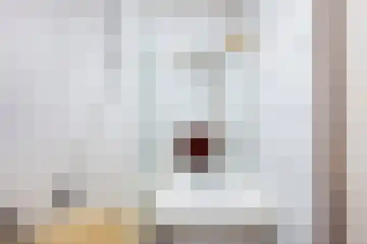 Pretoriaplein 6 Haarlem thumbnail 18
