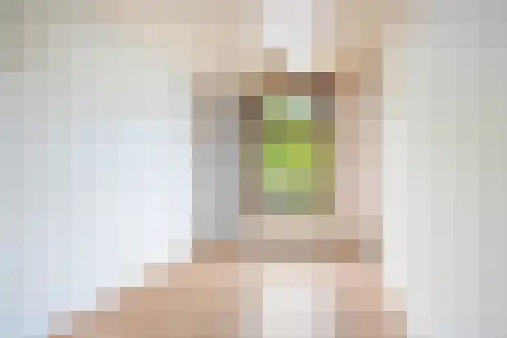 Pretoriaplein 6 Haarlem thumbnail 22