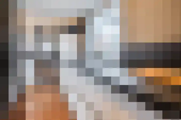 Pretoriastraat 13 Tilburg thumbnail 10