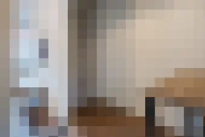 Pretoriastraat 13 Tilburg thumbnail 16