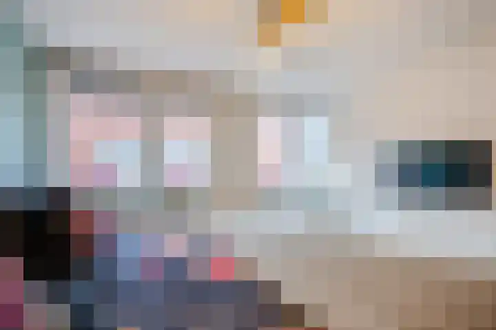 Pretoriastraat 13 Tilburg thumbnail 18