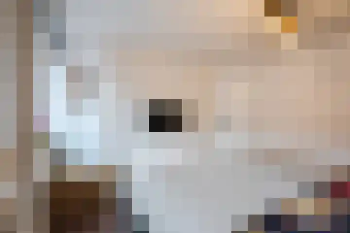 Pretoriastraat 13 Tilburg thumbnail 19