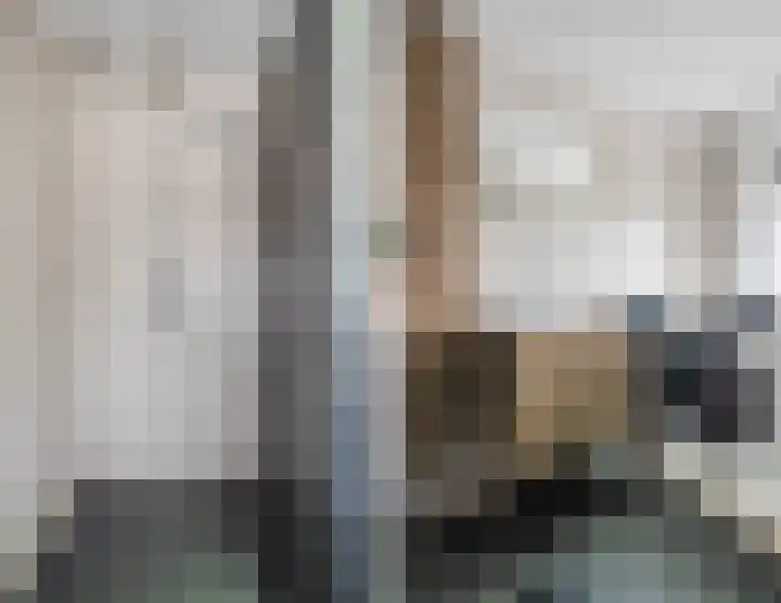 Pretoriastraat 13 Tilburg thumbnail 26