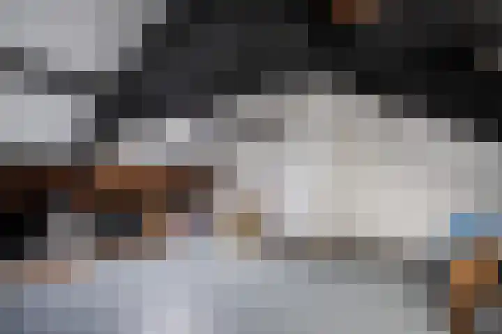 Pretoriastraat 13 Tilburg thumbnail 27