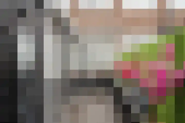 Pretoriastraat 13 Tilburg thumbnail 30