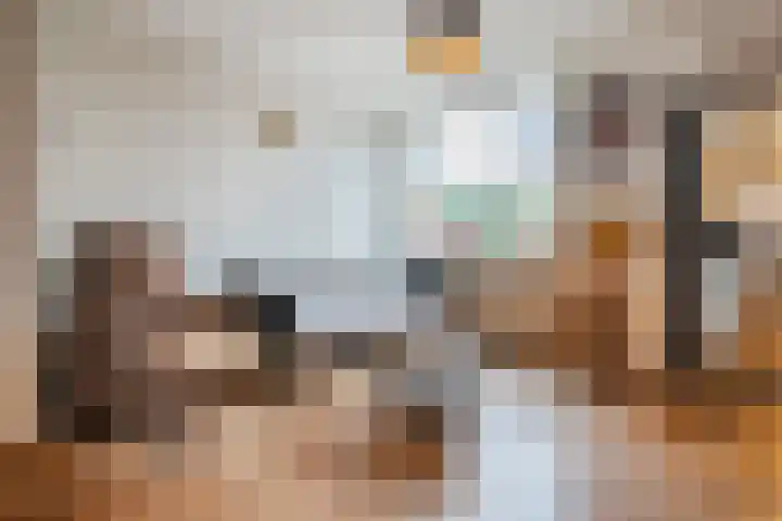 Pretoriastraat 13 Tilburg thumbnail 4