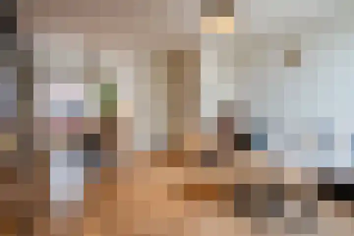 Pretoriastraat 13 Tilburg thumbnail 6