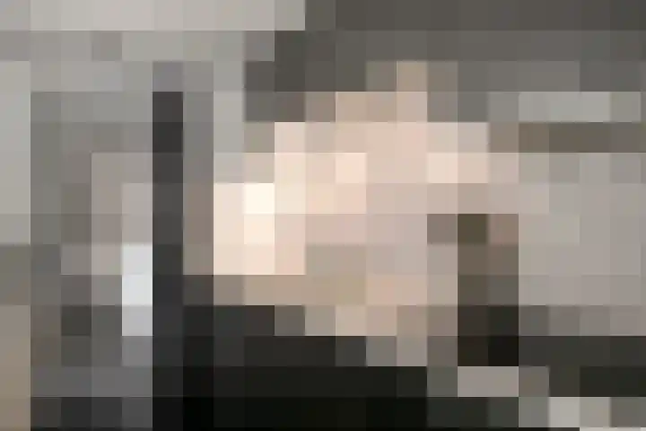 Pretoriastraat 9 Tilburg thumbnail 11