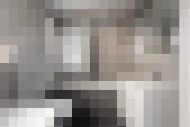 Pretoriastraat 9 Tilburg thumbnail 14