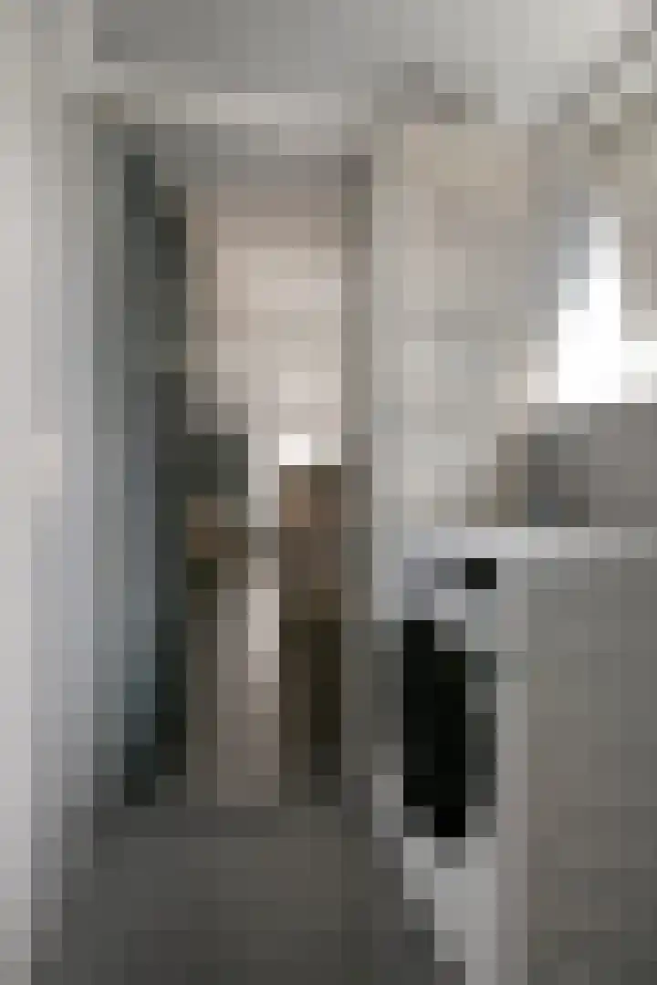 Pretoriastraat 9 Tilburg thumbnail 16