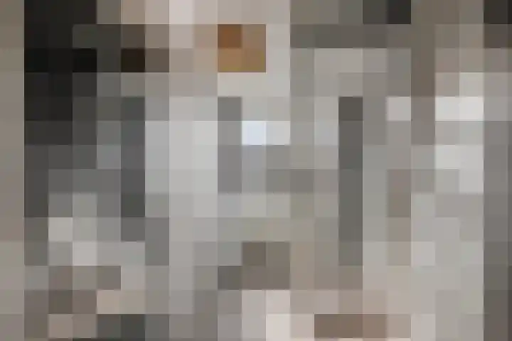 Pretoriastraat 9 Tilburg thumbnail 18
