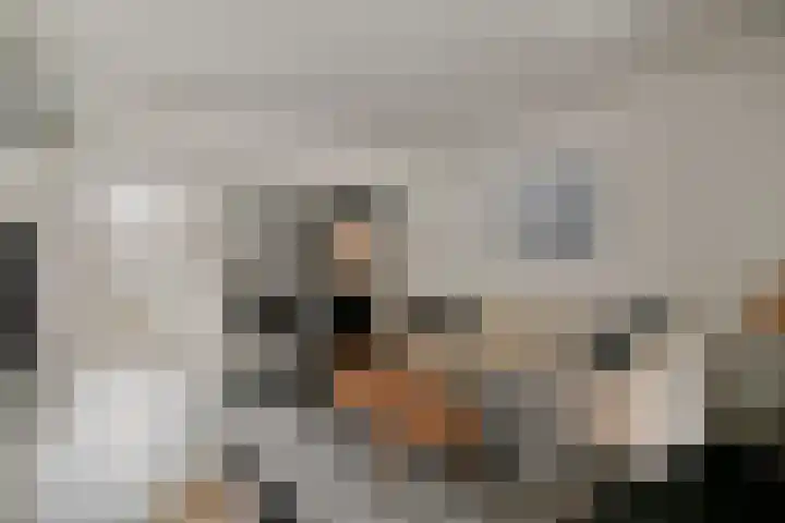 Pretoriastraat 9 Tilburg thumbnail 6