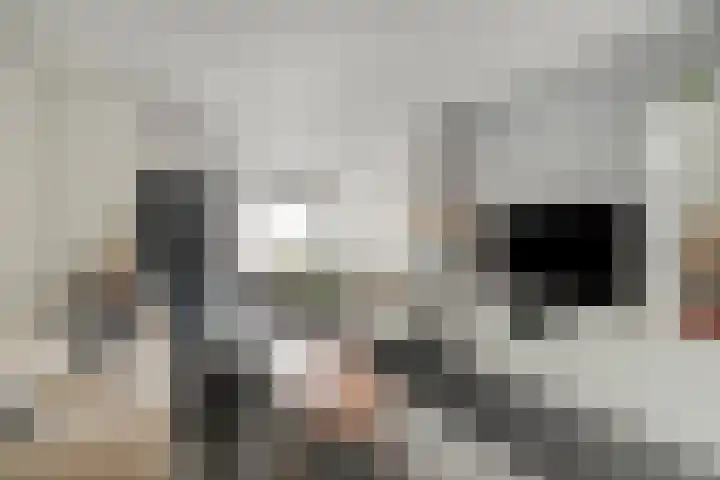 Pretoriastraat 9 Tilburg thumbnail 7