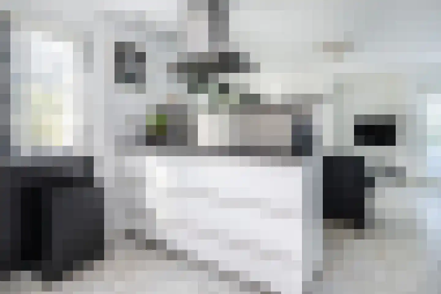 Pretoriuslaan 9 Ouddorp thumbnail 13