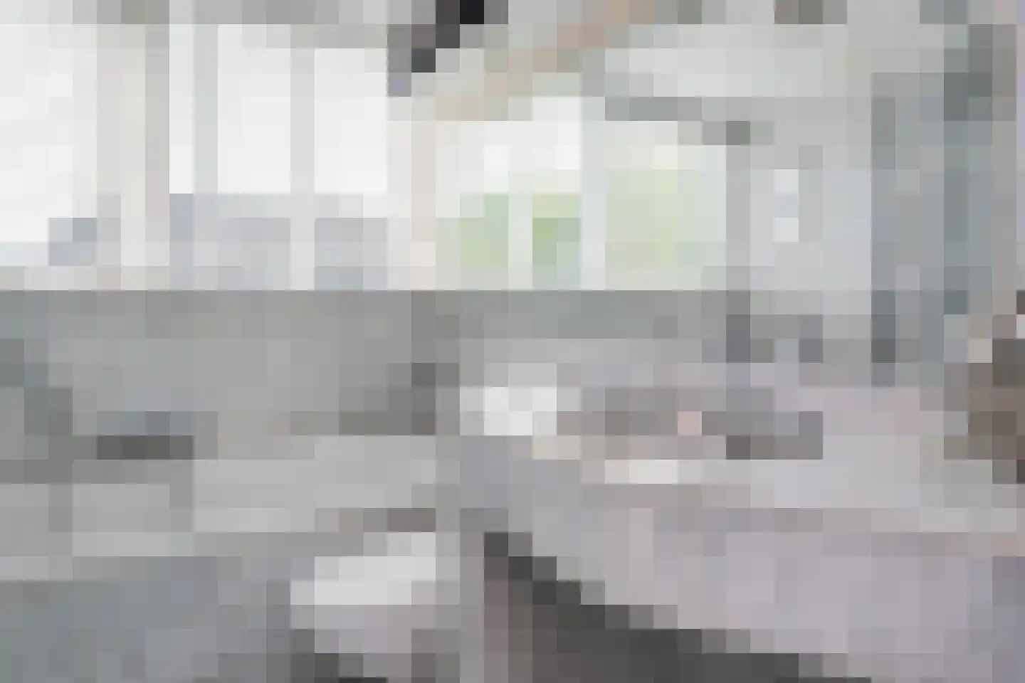 Pretoriuslaan 9 Ouddorp thumbnail 20