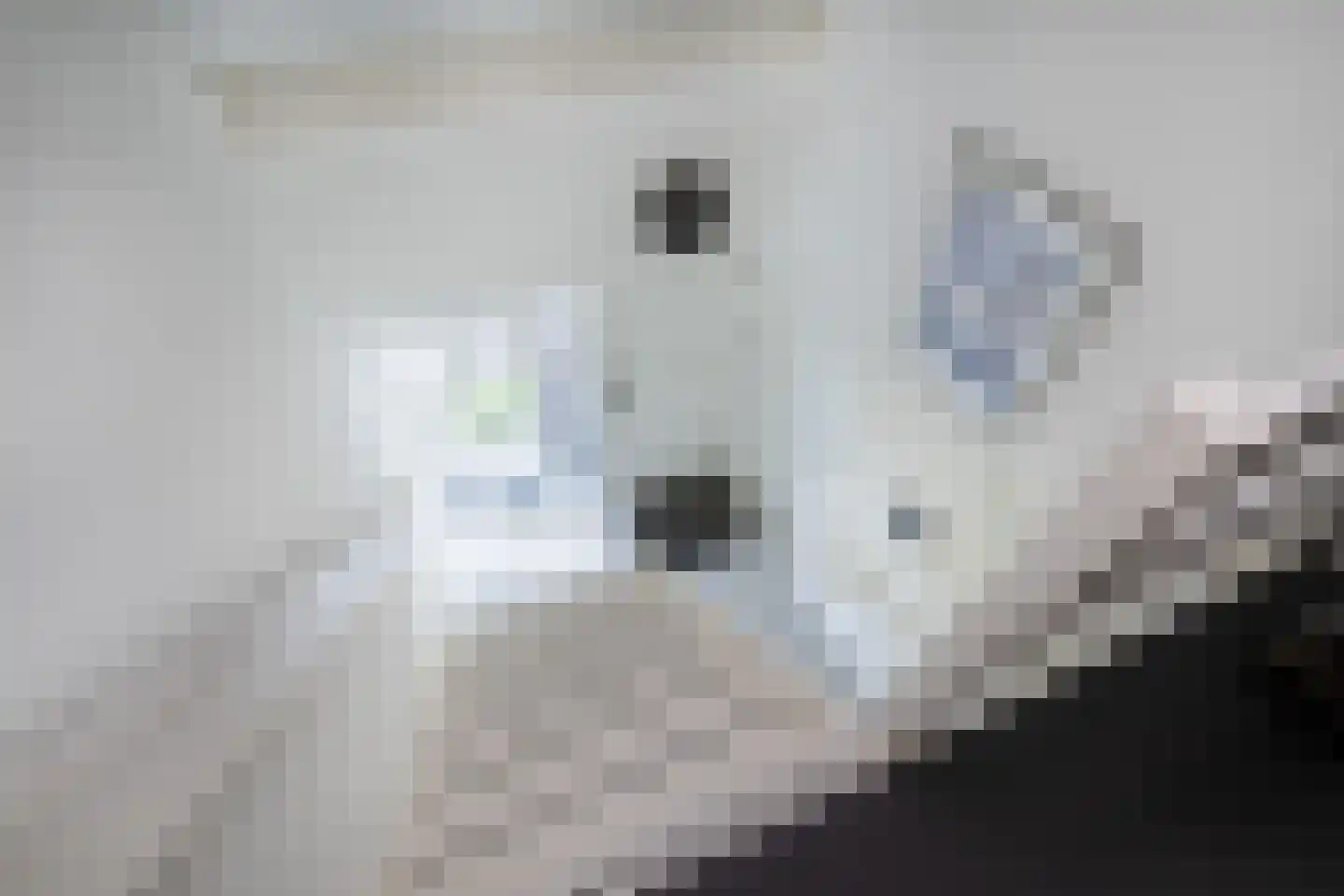 Pretoriuslaan 9 Ouddorp thumbnail 25